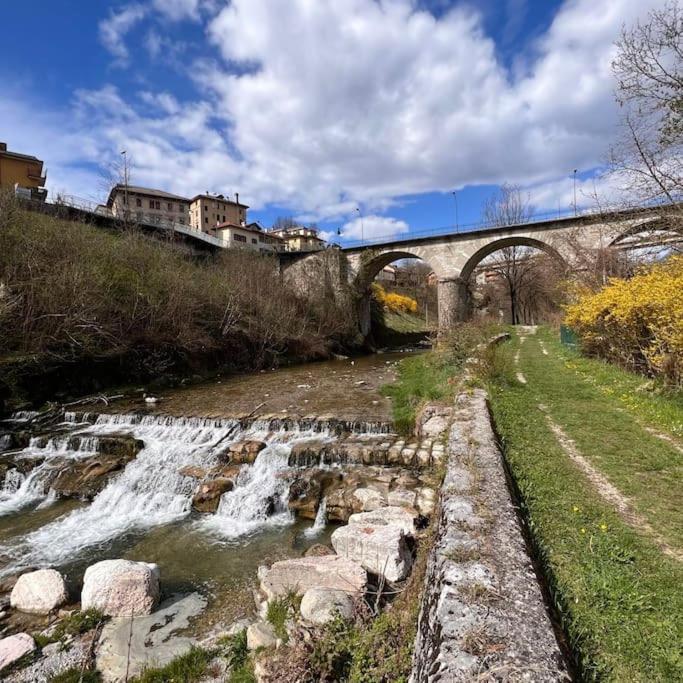 Conveniente, Tranquilla E Accogliente Con Park Villa Belluno Esterno foto